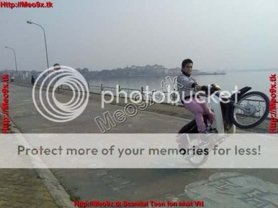 Meo9xtk8.jpg picture by bocdau1
