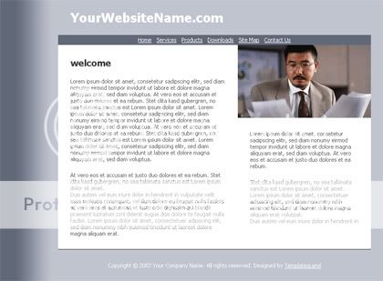 Free Web Template Company 4