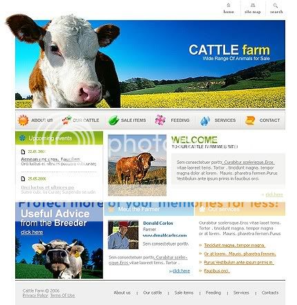 Free Web Template   Company 4