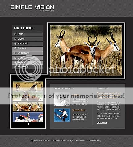 Free animals Web Template Company